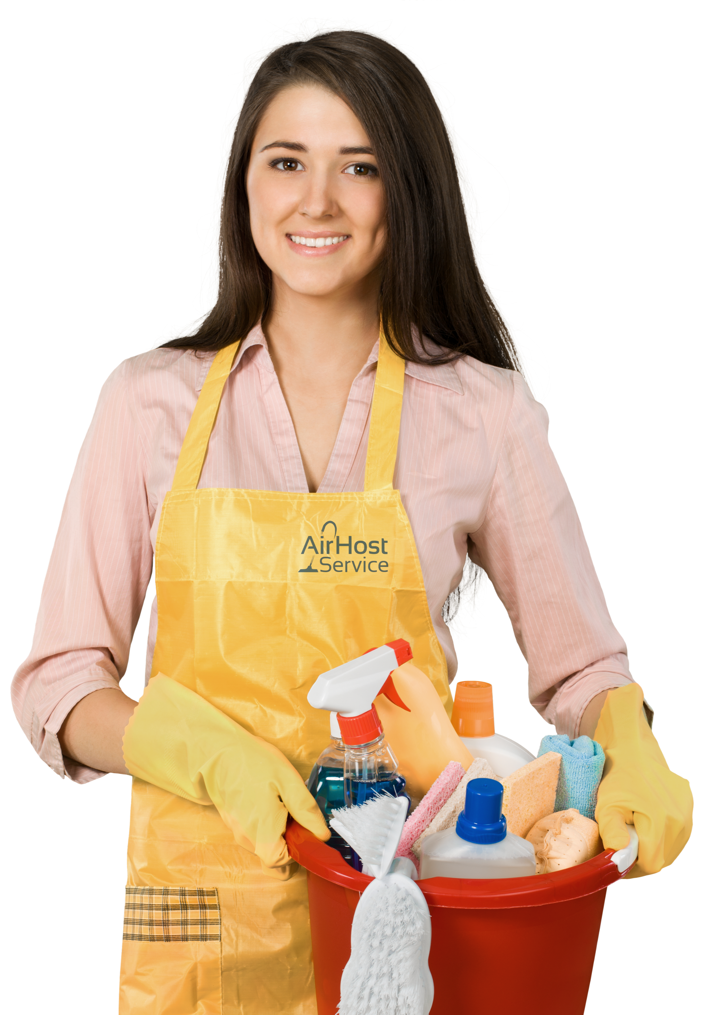 Professional cleaner