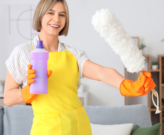 Professional cleaner